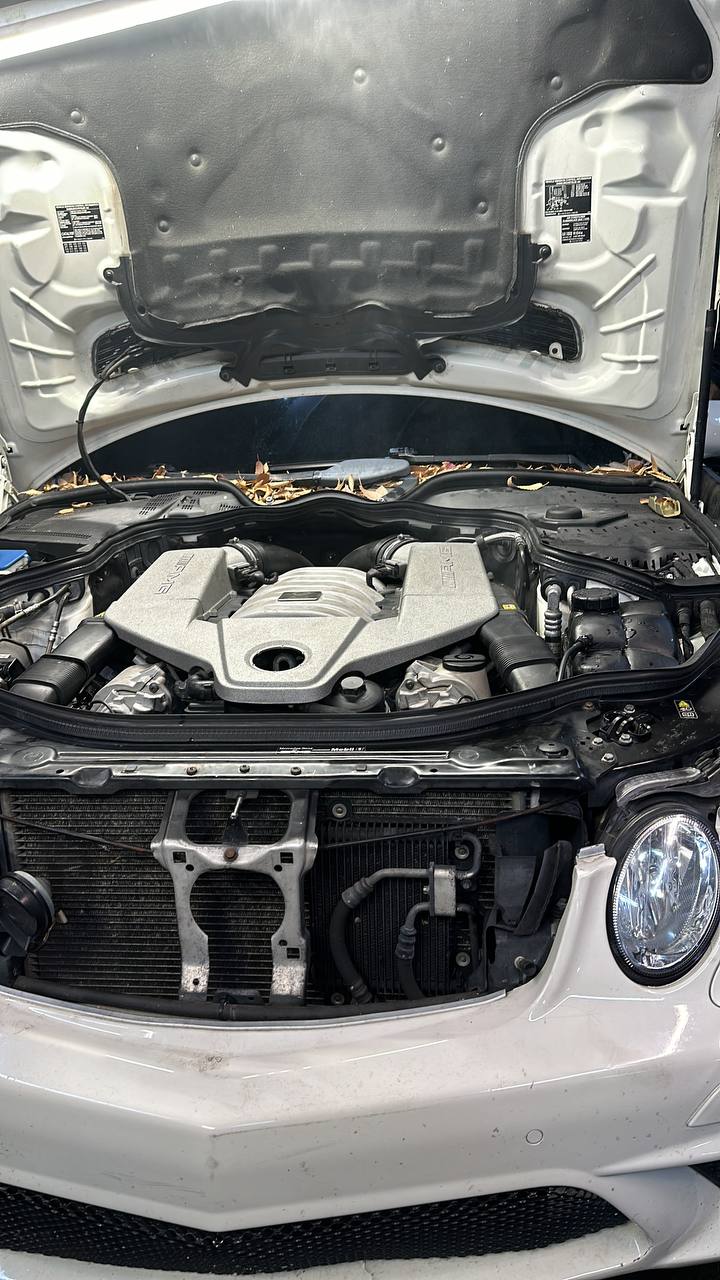Mercedes AMG 6.3 engine repair Lake Bluff IL